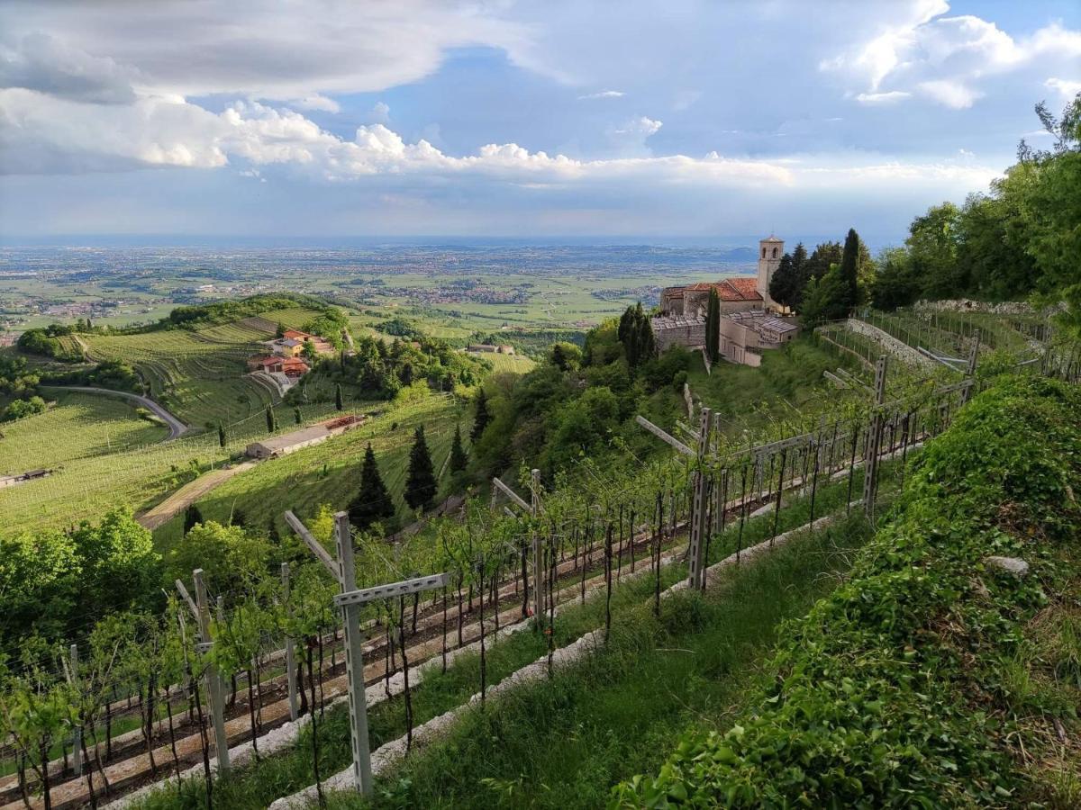 Il Glicine Rosa Hotel Parona di Valpolicella Buitenkant foto